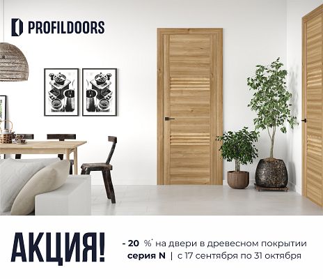 Акция скидка 20% на двери N